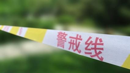 新2025澳门天天开好彩和干部驾车致男童死亡与干部开车撞人怎么处理