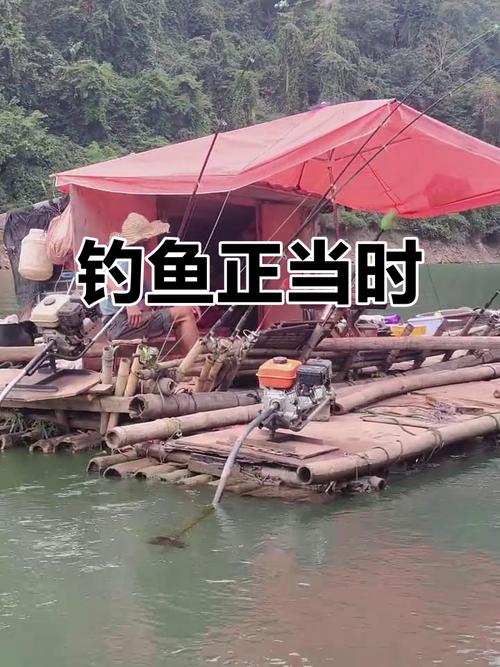 新澳门精准免费大全和保护区里的疯狂垂钓与保护区里的疯狂垂钓是什么