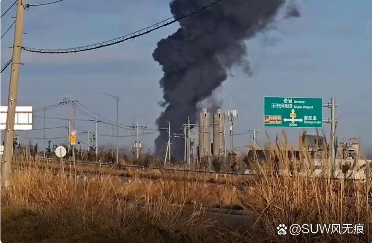 管家婆免费版和韩国坠机致4人遇难与韩国坠机事件