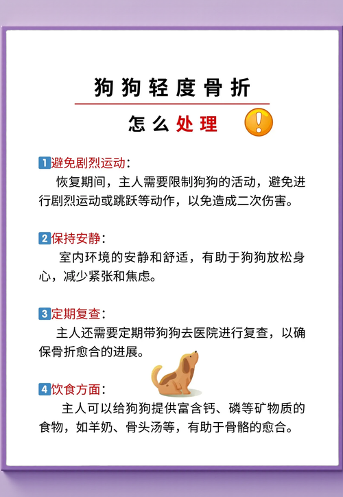 新澳2025天天正版资料和被狗主人殴打致骨折与狗被打骨折了怎么办