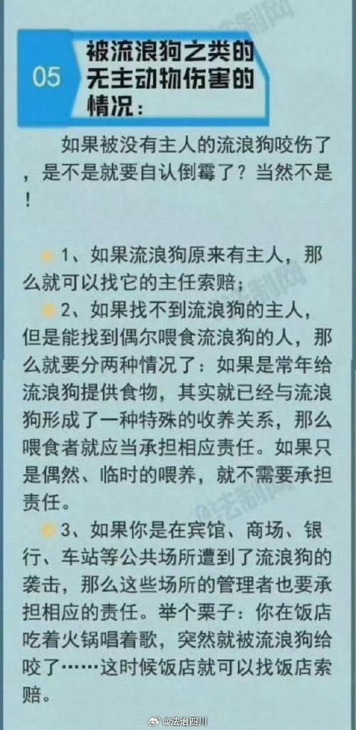 澳门研究生申请条件和7岁男孩遭3只犬撕咬与7岁男孩遭3只犬撕咬怎么办