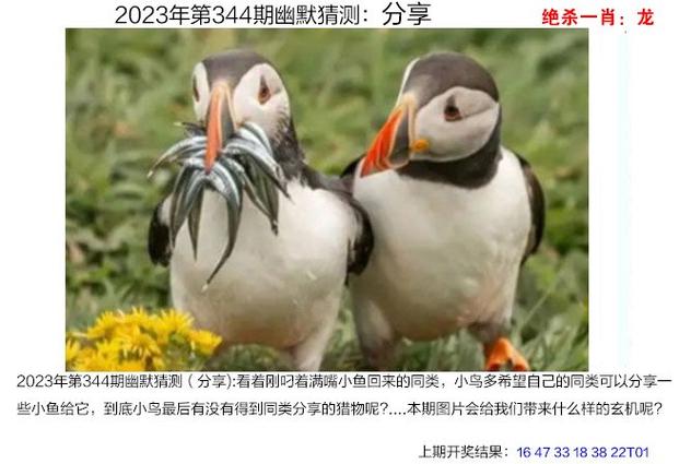 新澳门四肖八肖期期准最新版本,和考生排队摸985车牌与