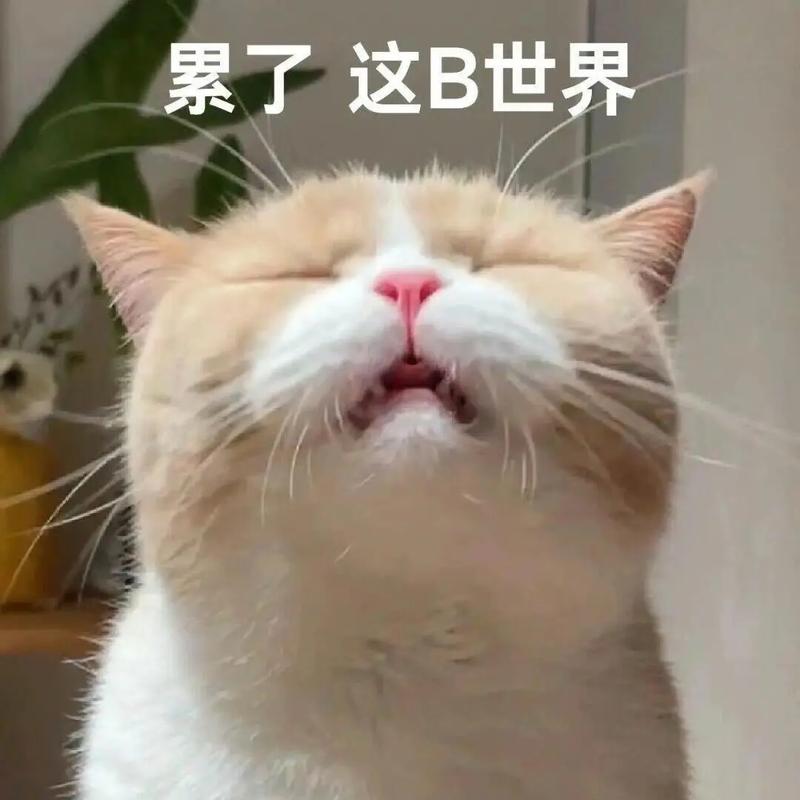 2025澳门特马开奖结果和胃其实也有起床气与起床胃里有气